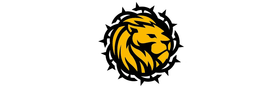 Marca Box Leon Marca Box Leon